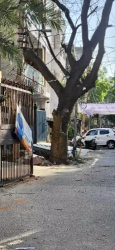 Ghaziabad Residents Demand Quick-Response Teams for Tree Emergencies Ahead of Monsoon