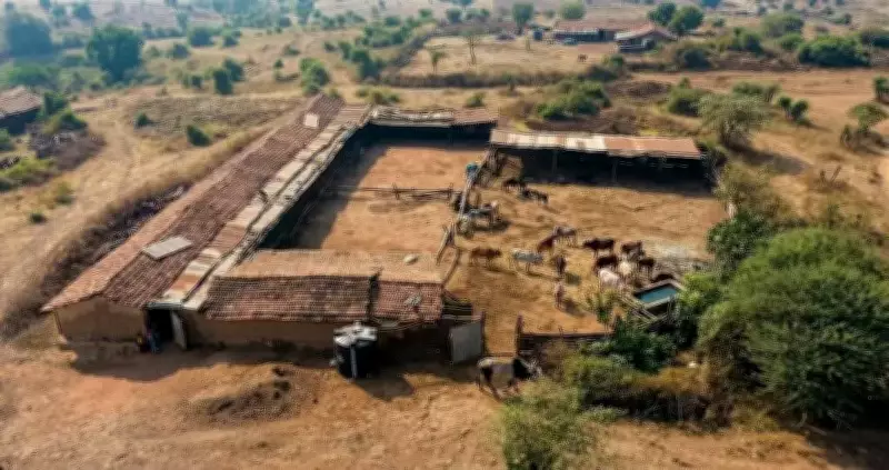 Gir Sanctuary Orders Contradict Each Other on Maldhari Return