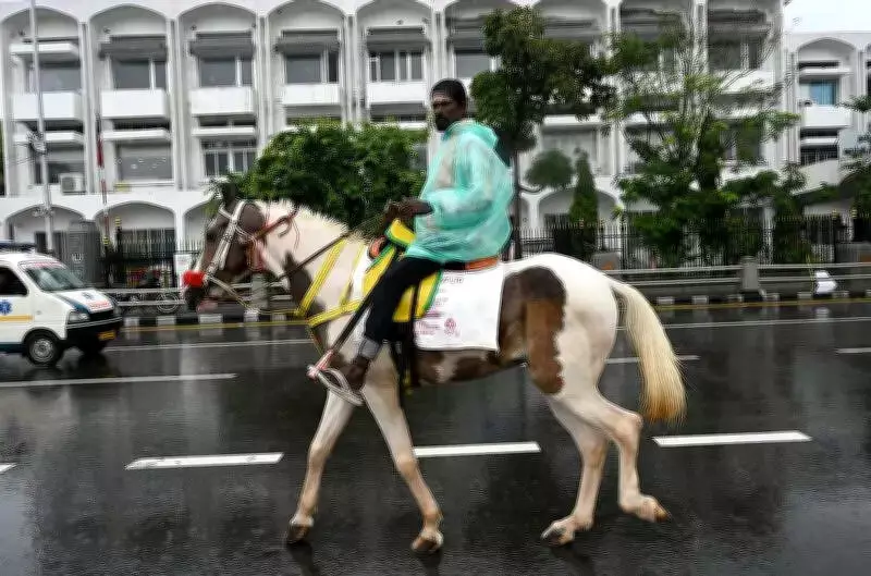 Glanders Outbreak: Chennai Tests 80 Horses After Fatal Infection