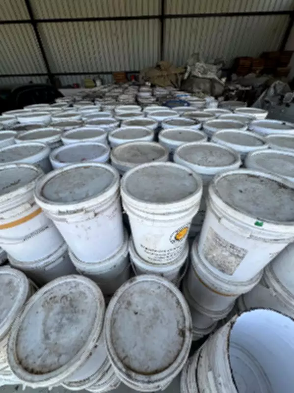 Global Disruptions Hit Haryana's Honey Industry Hard