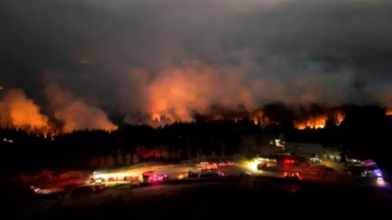 Global Fire Outbreaks Hit Record High as Heat Extremes Loom: Scientists