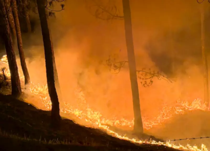 Goa braces for intense forest fire season due to El Nino, rising temperatures