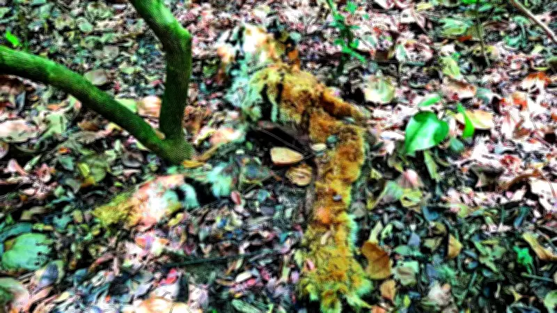 Goa Forest Minister Rules Out Poaching in Tiger Death, Cause Inconclusive