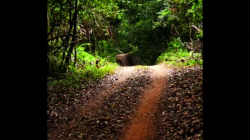 Goa Forms Taluka-Level SITs to Recover Reserved Forest Lands Allotted Illegally