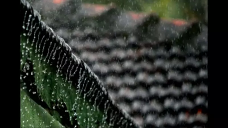 Goa Gets Brisk Showers, Heatwave Persists with Temperatures Above 36°C