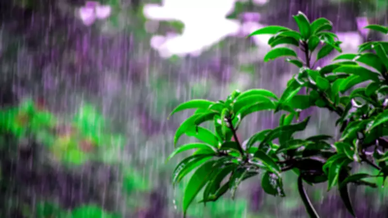 Goa Gets First Pre-Monsoon Showers, CM Reviews Preparedness