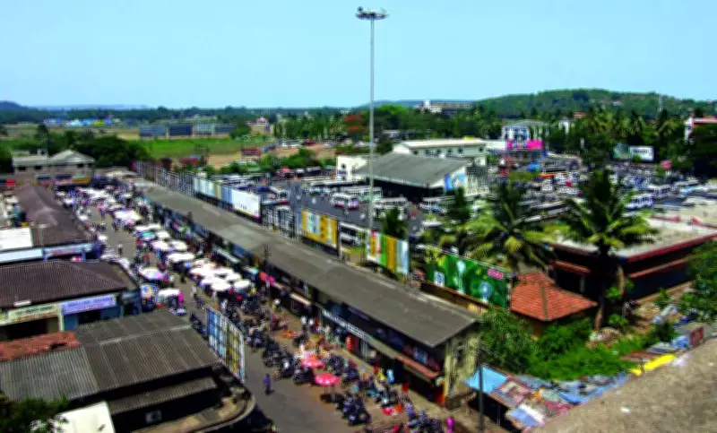 Goa Health Dept Warns Against Leptospirosis Amid Heatwave; Municipal Ward Delimitation Underway