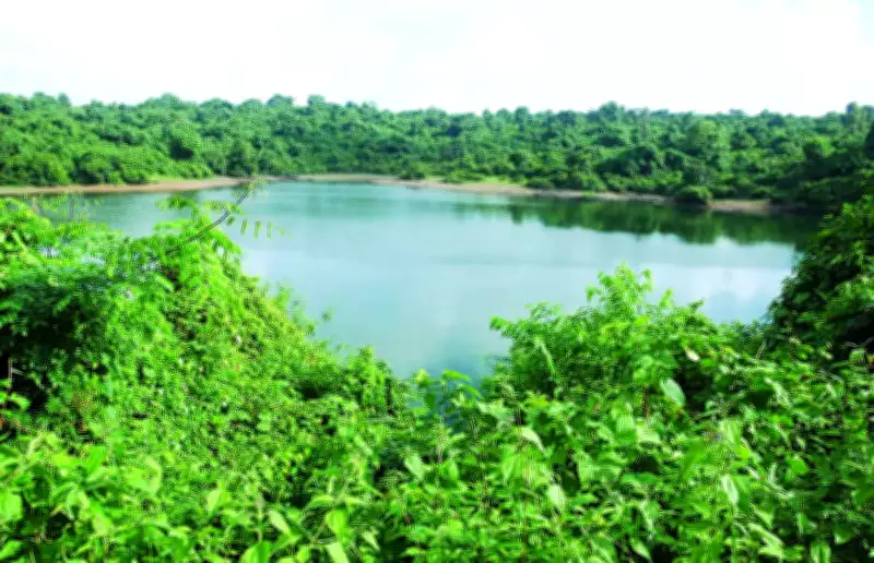 Goa Health Dept Warns Against Swimming in Stagnant Water Amid Heatwave