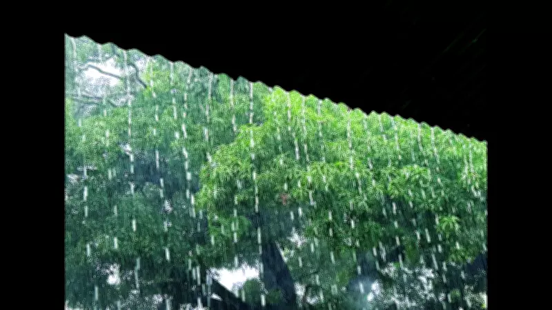 Goa Records 22.4mm Average Rainfall in Strongest Pre-Monsoon Activity