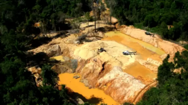 Gold Rush in Amazon Drives Deforestation and Mercury Contamination
