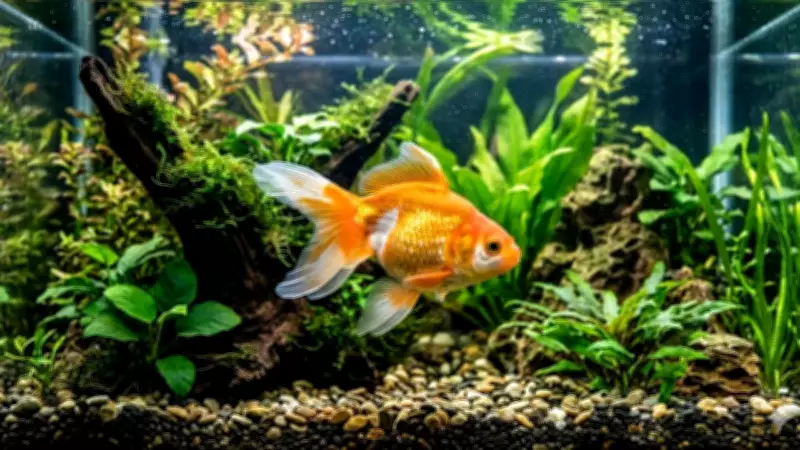 Goldfish: More Than Just a Pet – Surprising Science and Benefits