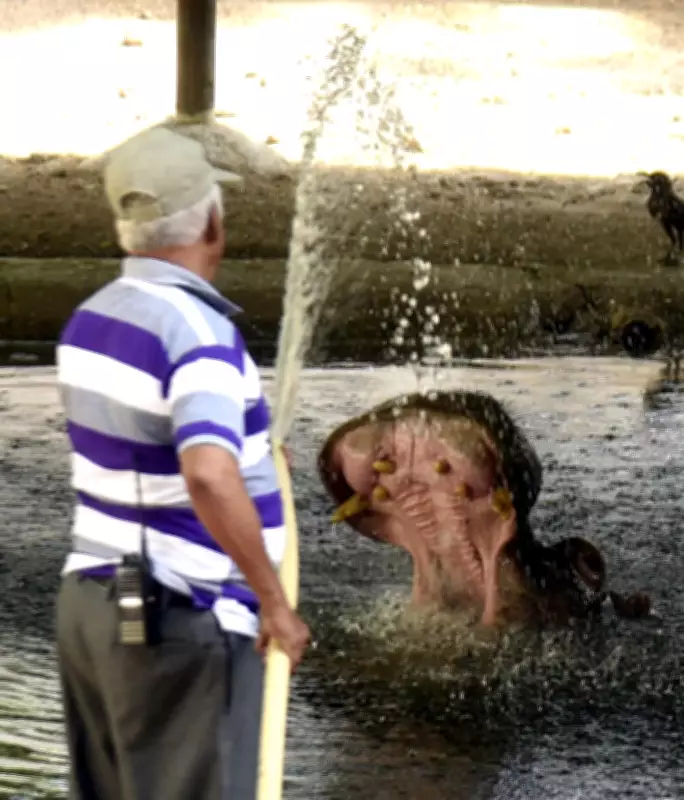 Gujarat Zoo Heat Management Plans as Temperatures Cross 42°C