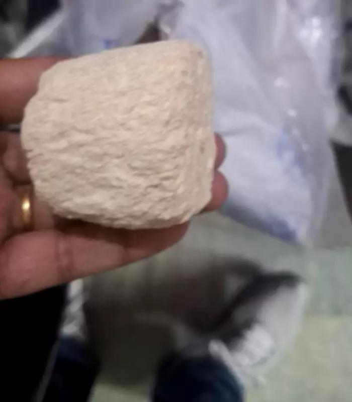 Gurugram STF Seizes Heroin Worth Rs 36 Crore, One Arrested