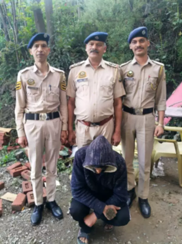 Habitual Drug Peddler Arrested in Shimla Police Operation