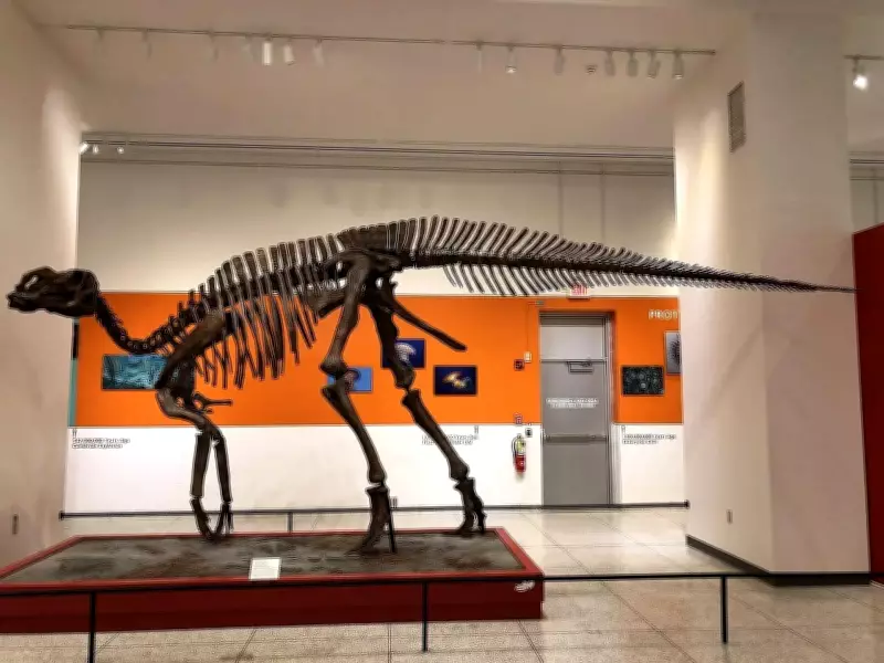 Hadrosaurus Discovery in New Jersey Changed Paleontology Forever