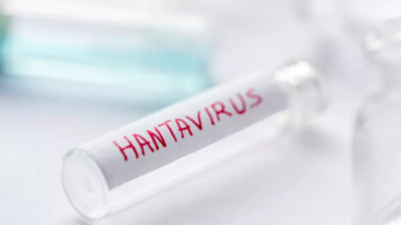 Hantavirus: Early Symptoms Deceptive, Can Cause Rapid Organ Failure, Doctors Warn