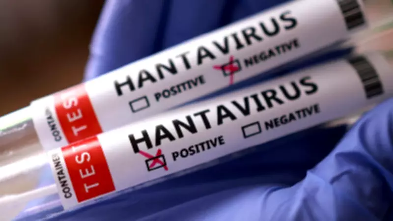 Hantavirus-Hit Cruise Ship Arrives in Rotterdam for Quarantine and Disinfection