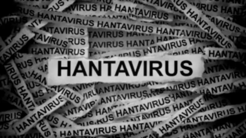 Hantavirus Outbreak on Cruise Ship: Andes Strain Spreads Person-to-Person
