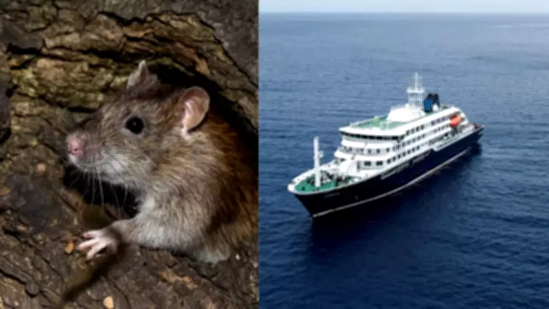 Hantavirus Outbreak on Cruise Ship Triggers 12-Country Health Alert