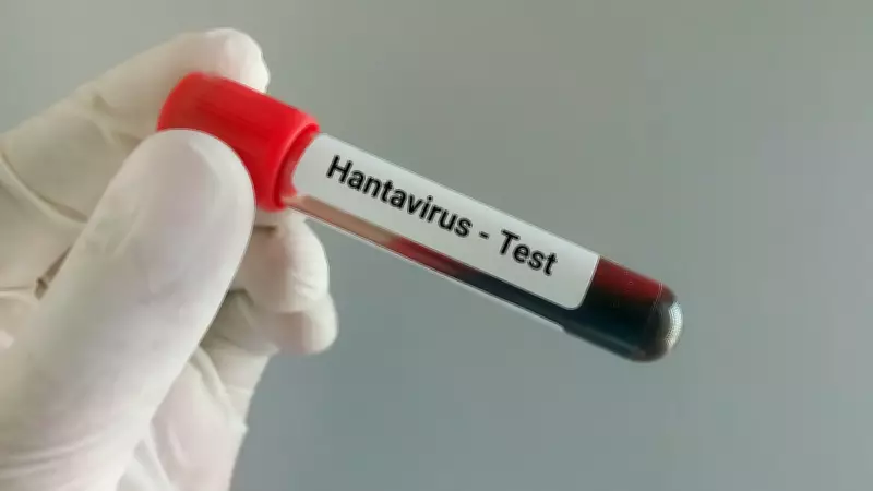Hantavirus Vaccine Development Halted Due to Funding Shortage in Chile