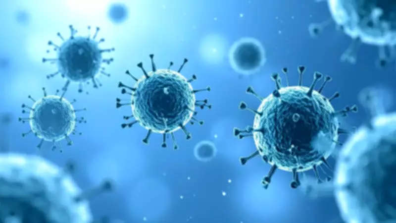 Hantavirus: What You Need to Know About Transmission, Symptoms, and Prevention