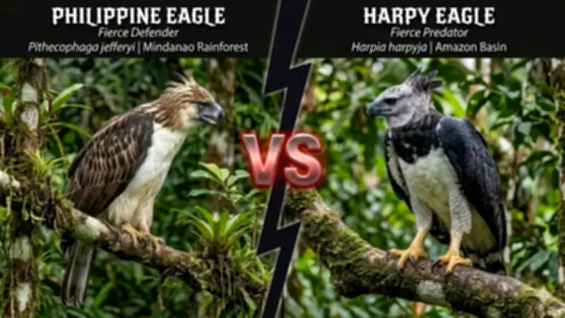 Harpy Eagle vs Philippine Eagle: Key Differences Between Giant Forest Raptors