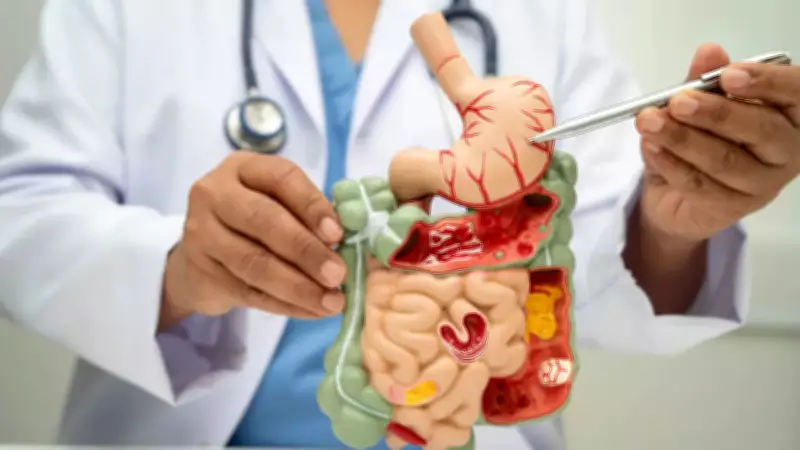 Harvard Doc Reveals 10-Minute Fix for Sluggish Digestion Without Supplements