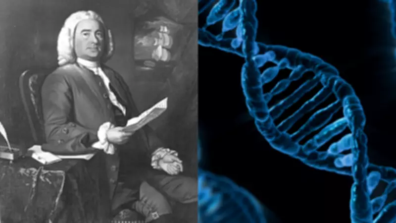 Harvard Study Finds 1.3 Million Living Relatives of Maryland's First Colonists
