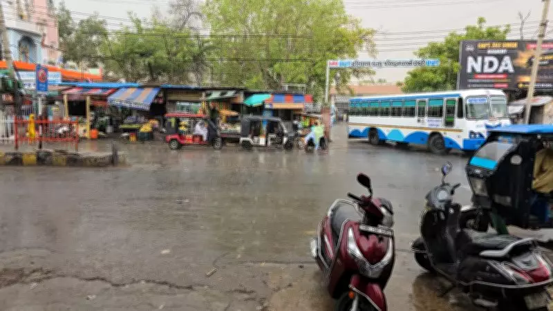 Haryana Districts Get Relief from Intense Heatwave After Western Disturbance Brings Rainfall