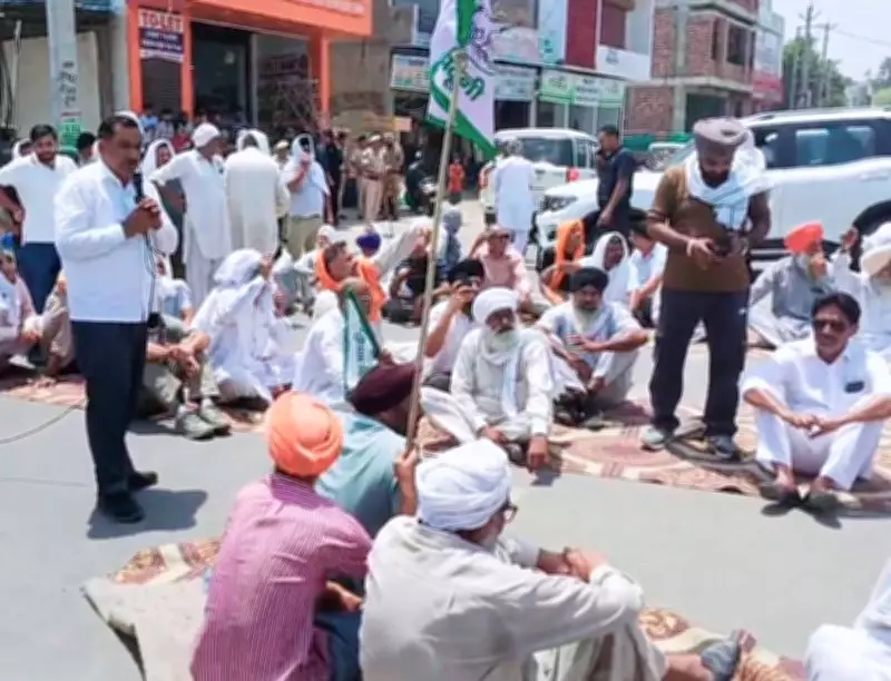 Haryana Farmers Protest Delayed Sunflower Procurement in Shahabad