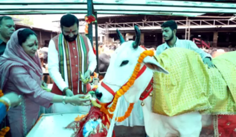 Haryana Govt Committed to Making State Stray Cattle Free: CM