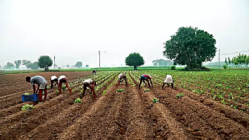 Haryana Govt Signs MoU for 1 Lakh Acres Farm Land in Tanzania