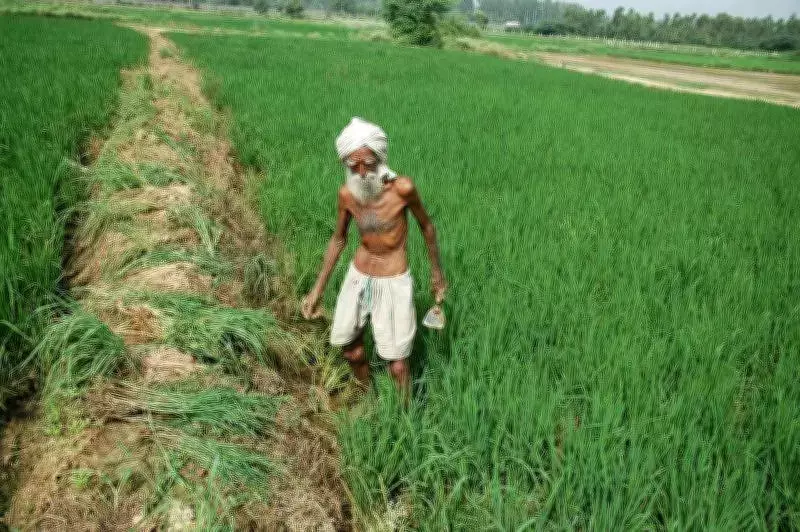 Haryana Groundwater Quality Map Unveiled for Sustainable Farming