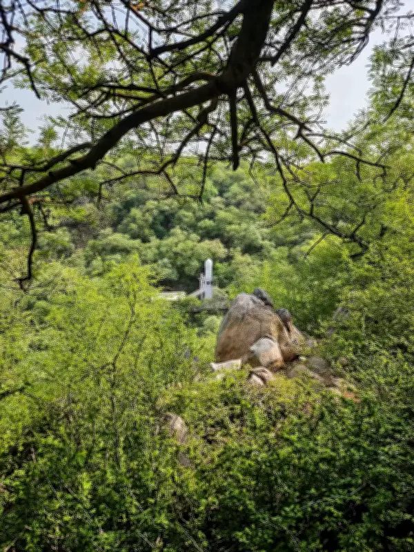 Haryana Launches First Sacred Groves Mapping Exercise