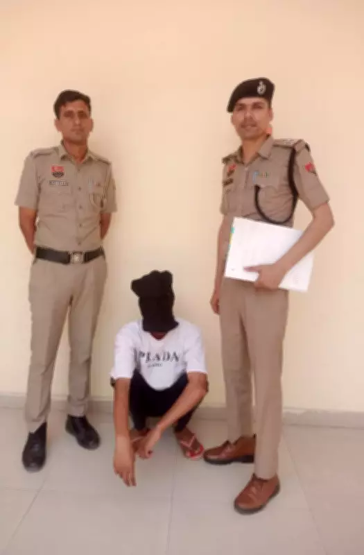 Haryana Police Dismantle Online Betting Racket in Fatehabad