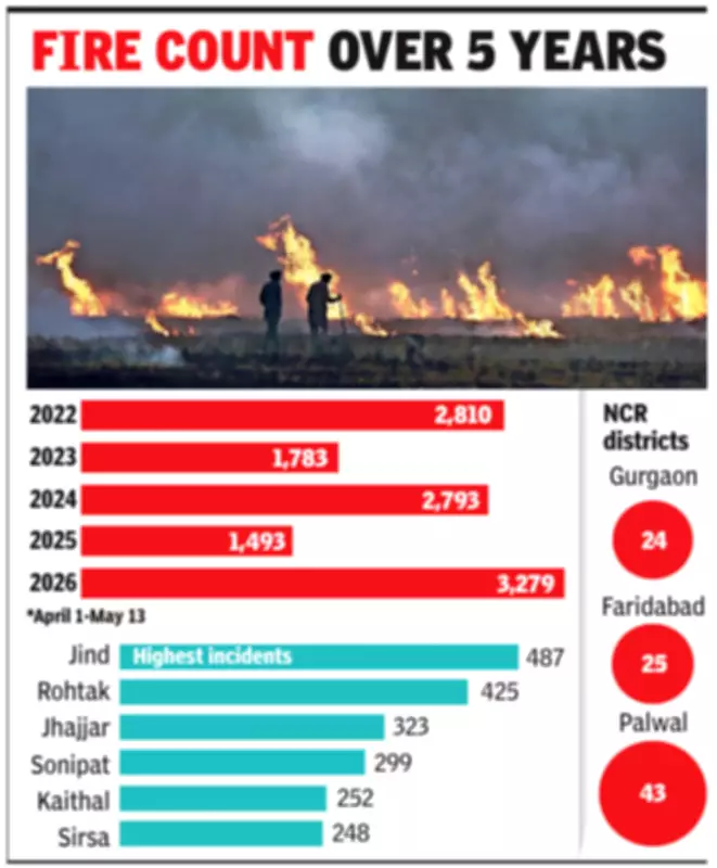 Haryana Records Highest Wheat Residue Burning in 5 Years