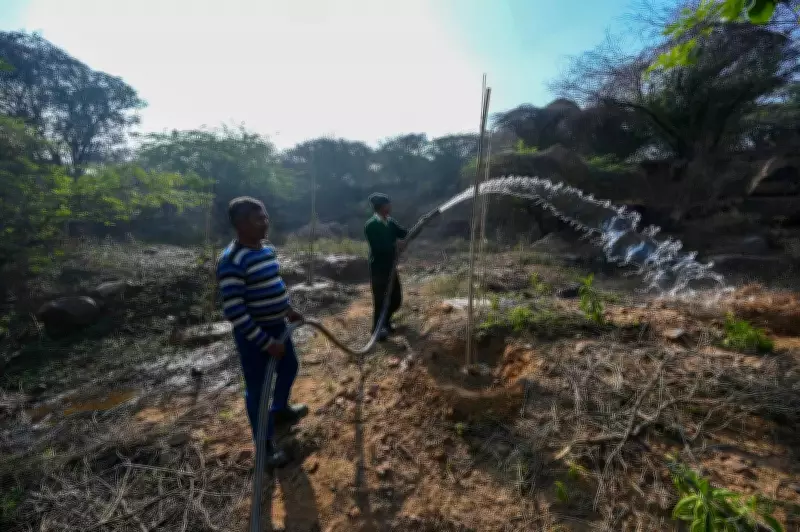 Haryana Stops Free Sapling Distribution Amid Low Forest Cover Concerns