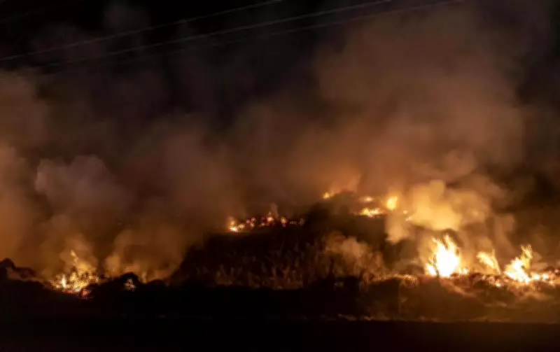 Haryana wheat stubble burning spikes 157% in April 2025, 1,565 fires