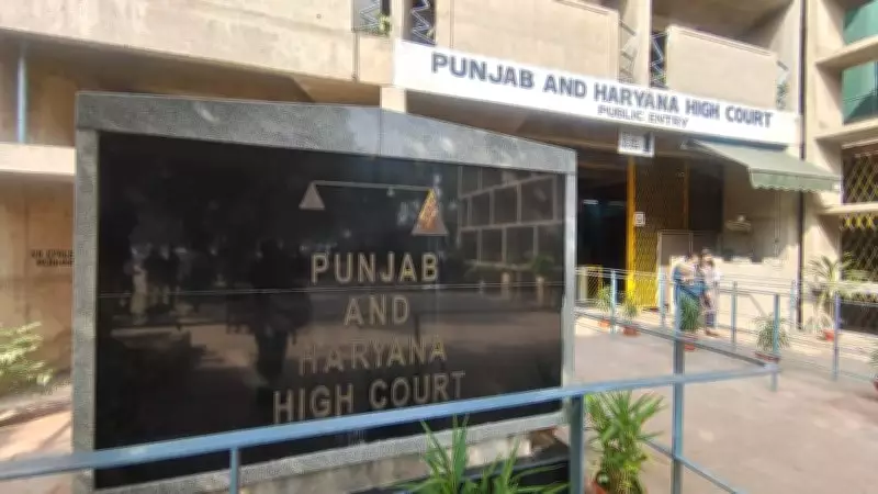 HC Acquits NDPS Convict After 24 Years, Finds Tainted Record