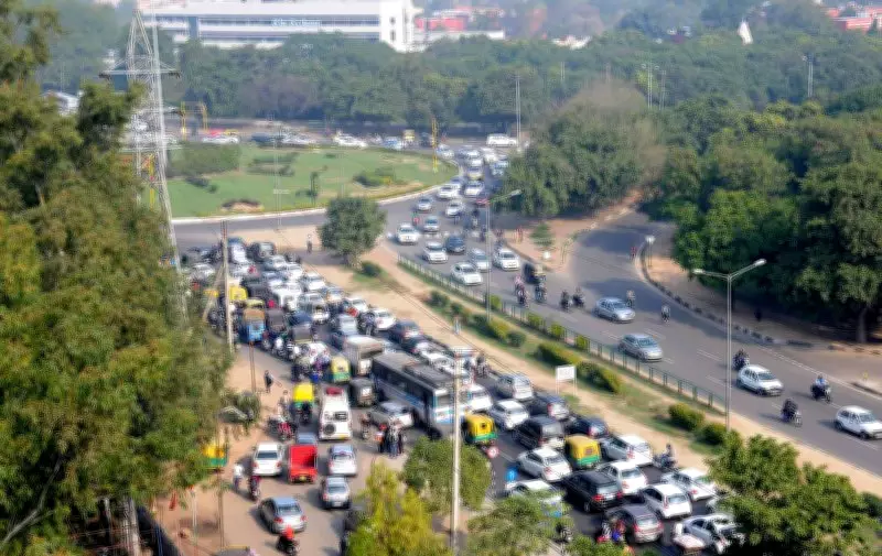 HC Stays Tree Felling at Chandigarh's Tribune Chowk Flyover Project