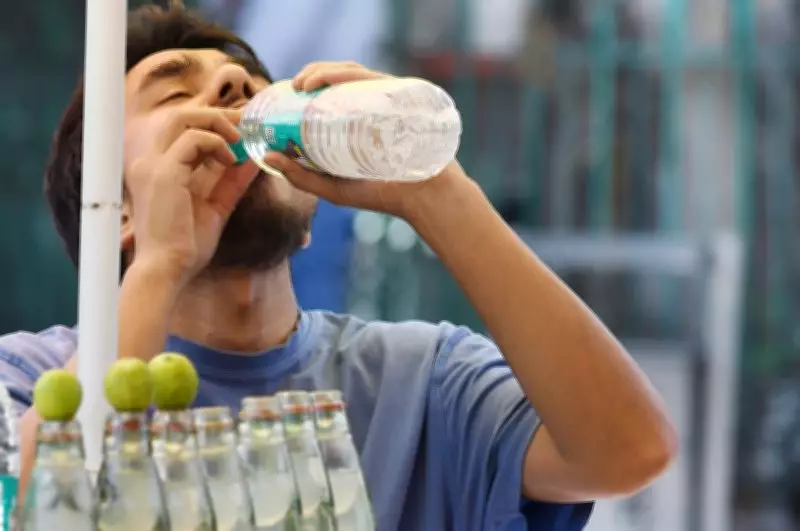 Heatwave Drives 42% Surge in Delhi's Peak Power Demand