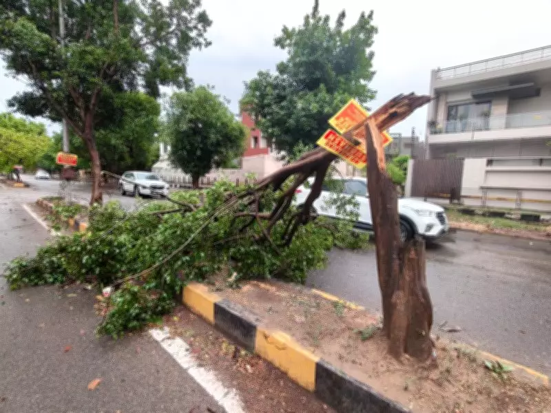 Heavy Rain Brings Relief and Disruption Across Ludhiana City