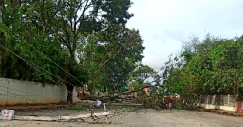 Heavy Rains, Gusty Winds Uproot Electricity Poles, Trees in Chikkamagaluru