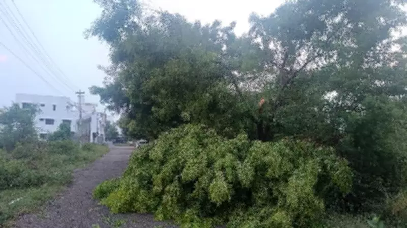 Heavy Rains Lash Old Mysuru Region, Doora Records 51mm Rainfall