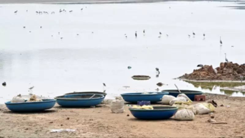 Hebbal Lake Wetland in Bengaluru to Complete in a Month: Minister