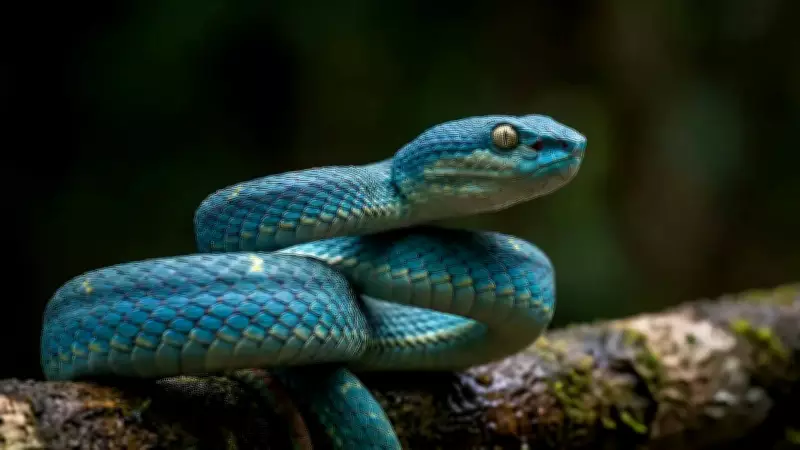 Hidden World of New Species Discovered in Cambodian Limestone Caves