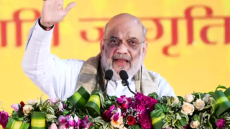 High-level panel on demographic changes to mull separate law: Amit Shah