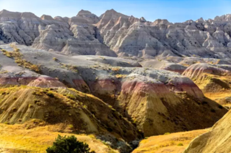 Hikers Discover 34-Million-Year-Old Fossil Watering Hole in Badlands