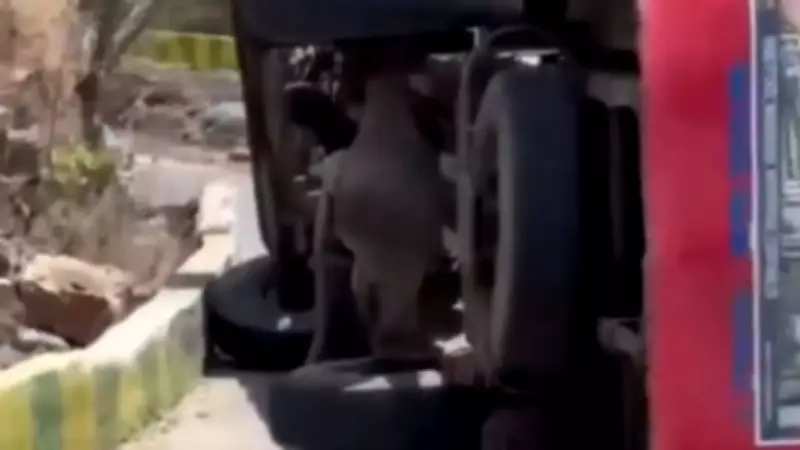 Himachal Bus Overturns After Driver Has Chest Pain, 24 Injured