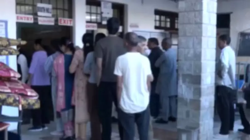 Himachal civic body polls begin with steady voter turnout across 51 urban bodies